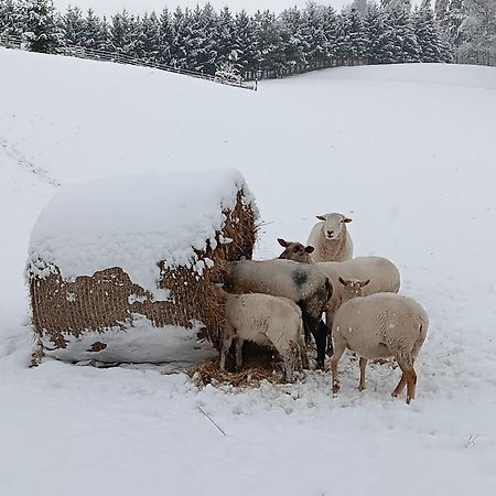 Ubytovani Na Vejminku Rtyne v Podkrkonosi 외부 사진